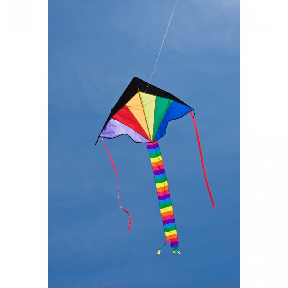 Ecoline Simple Flyer Rainbow 120cm